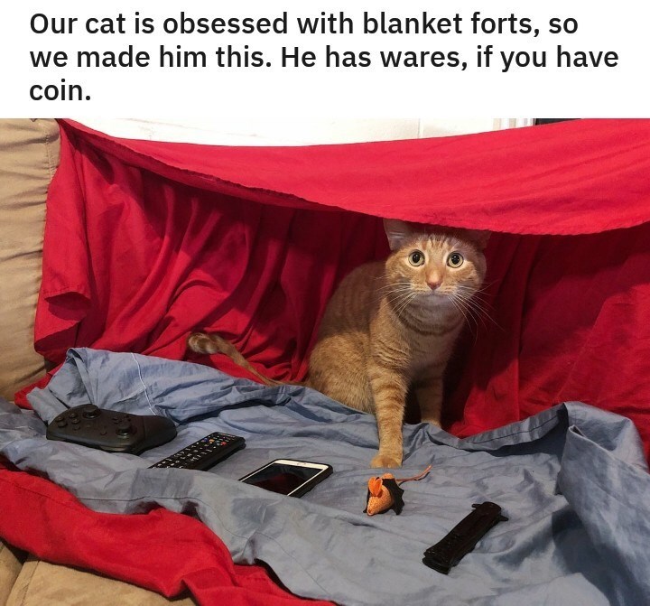 Our cat is obsessed with blanket forts, so we made him this. He has wares, if you have coin. 66