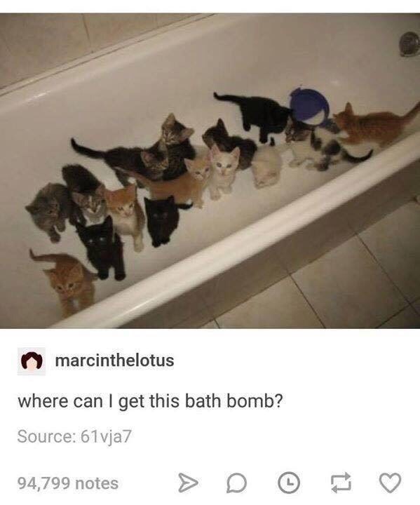 marcinthelotus where can I get this bath bomb? Source: 61vja7 94,799 notes D 17
