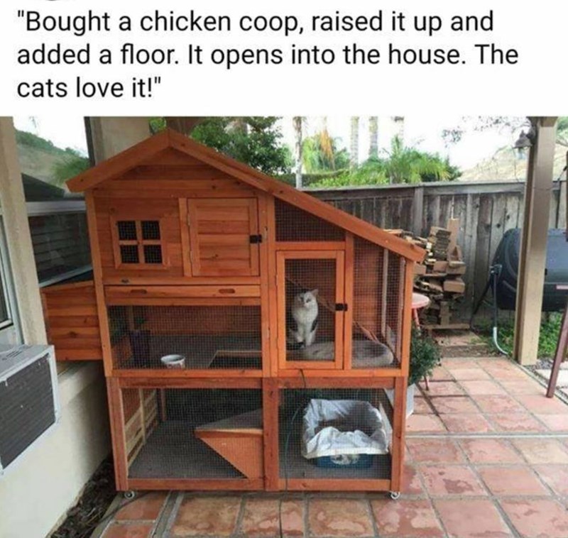 "Bought a chicken coop, raised it up and added a floor. It opens into the house. The cats love it!"