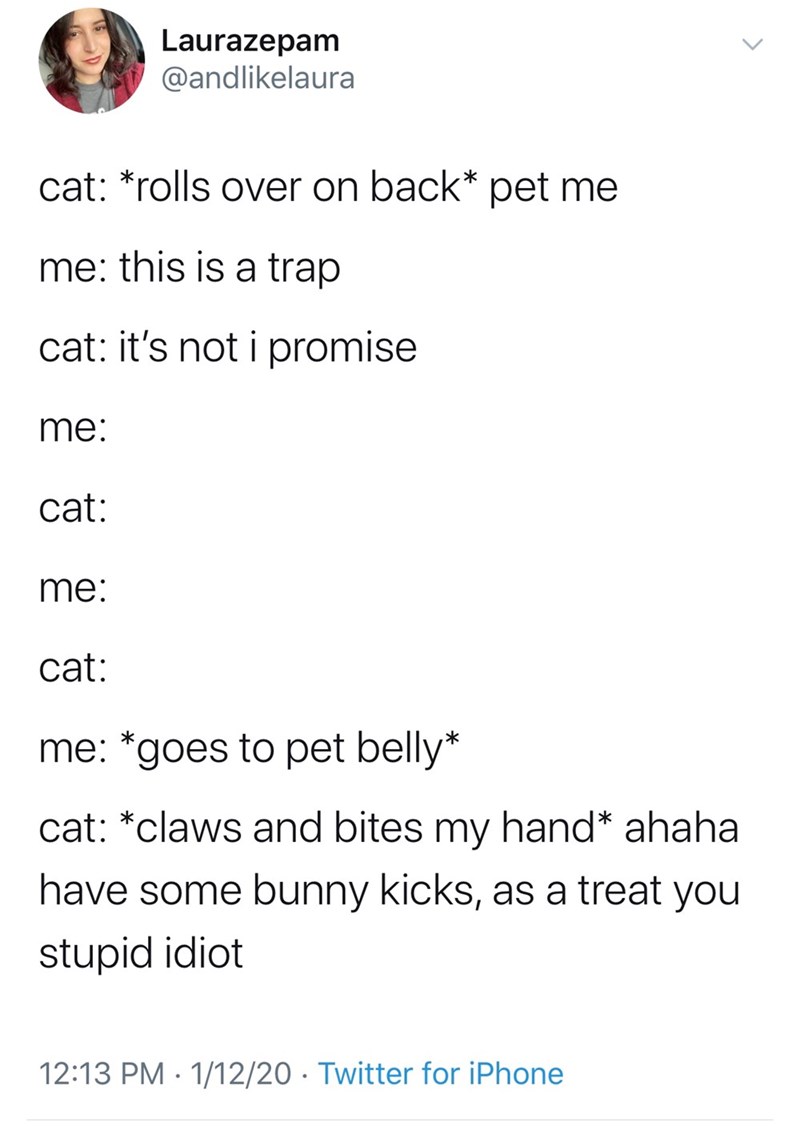 Laurazepam @andlikelaura > cat: *rolls over on back* pet me me: this is a trap cat: it's not i promise me: cat: me: cat: me: *goes to pet belly* cat: *claws and bites my hand* ahaha have some bunny kicks, as a treat you stupid idiot 12:13 PM 1/12/20 Twitter for iPhone