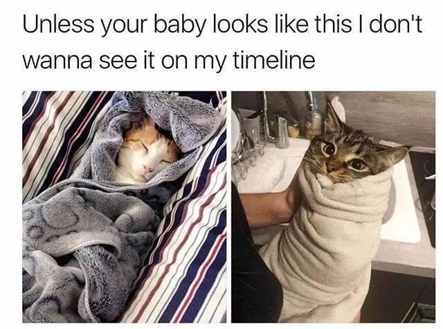 Unless your baby looks like this I don't wanna see it on my timeline