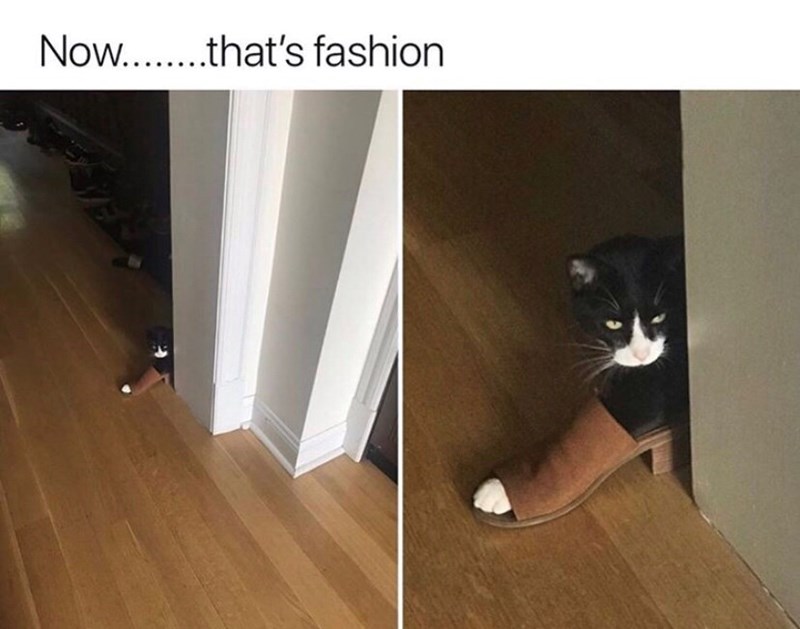Now……......that's fashion
