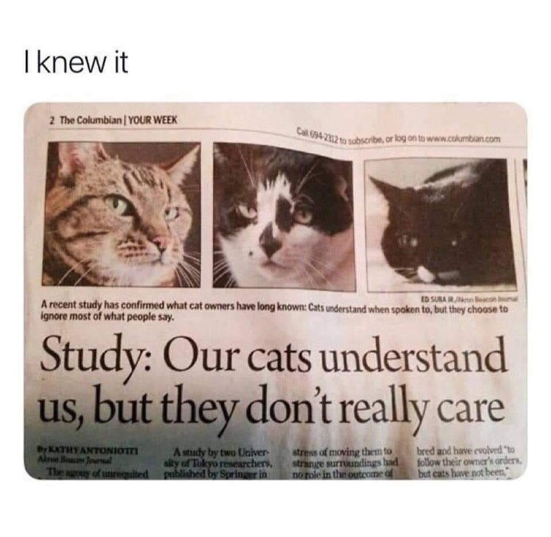 I knew it 2 The Columbian | YOUR WEEK Call 694-2312 to subscribe, or log on to www.columbian.com ED SUBA IR Beacon Jouma A recent study has confirmed what cat owners have long known: Cats understand when spoken to, but they choose to ignore most of what people say. Study: Our cats understand us, but they don't really care By KATHY ANTONIOTTI Are Beacon Journal The agony of unrequited A study by two Univer sity of Tokyo researchers, published by Springer in stress of moving them to strange surrou
