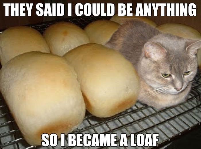 THEY SAID I COULD BE ANYTHING SO I BECAME A LOAF