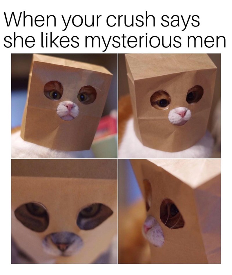 When your crush says she likes mysterious men