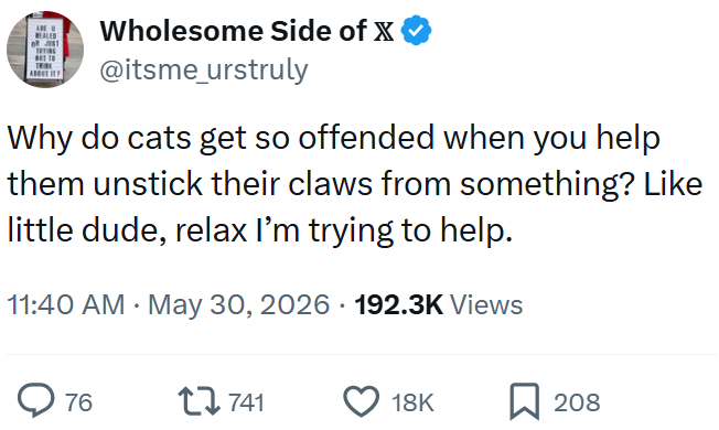 ARE L OR JUST Wholesome Side of X @itsme_urstruly Why do cats get so offended when you help them unstick their claws from something? Like little dude, relax I'm trying to help. 11:40 AM • May 30, 2026 192.3K Views > 76 1741 18K 208