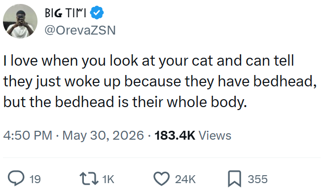 BIG TIMI @OrevaZSN I love when you look at your cat and can tell they just woke up because they have bedhead, but the bedhead is their whole body. 4:50 PM - May 30, 2026 183.4K Views 19 11K 24K 355