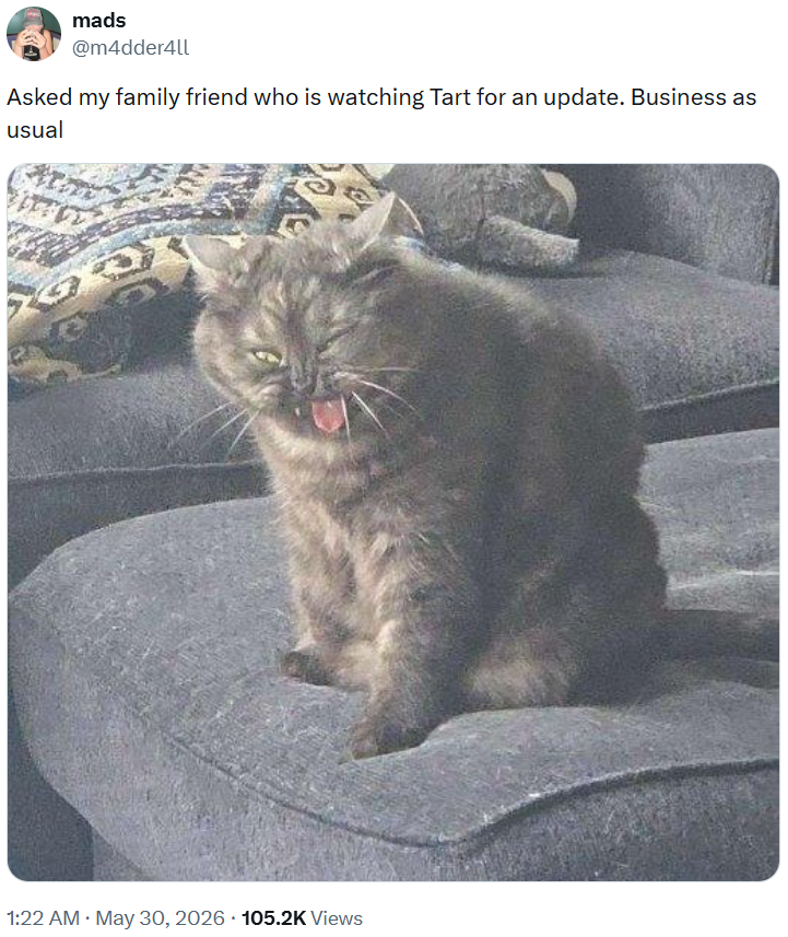 mads @m4dder4ll Asked my family friend who is watching Tart for an update. Business as usual 1:22 AM May 30, 2026 105.2K Views