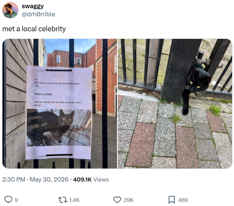 swaggy @drhorrible met a local celebrity Hi, My name is Lucy and I am the Restaurant's Cat. IM NOT A STRAY I am pampered and fed daily, so please don't worry! 2:30 PM - May 30, 2026 409.1K Views 9 1.4K 29K 489