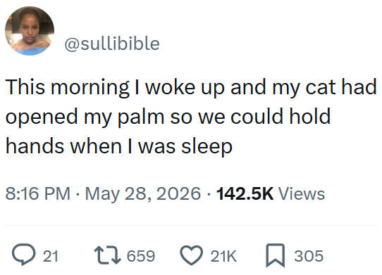 @sullibible This morning I woke up and my cat had opened my palm so we could hold hands when I was sleep 8:16 PM May 28, 2026 142.5K Views 21 17659 21K ☐ 305