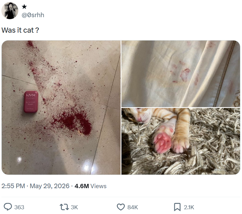 @Osrhh Was it cat? NYX buttermelt blush 2:55 PM. May 29, 2026 4.6M Views 363 173K 84K 2.1K