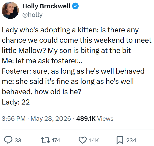 Holly Brockwell @holly Lady who's adopting a kitten: is there any chance we could come this weekend to meet little Mallow? My son is biting at the bit Me: let me ask fosterer... Fosterer: sure, as long as he's well behaved me: she said it's fine as long as he's well behaved, how old is he? Lady: 22 3:56 PM ⚫ May 28, 2026 489.1K Views 33 1174 14K 234