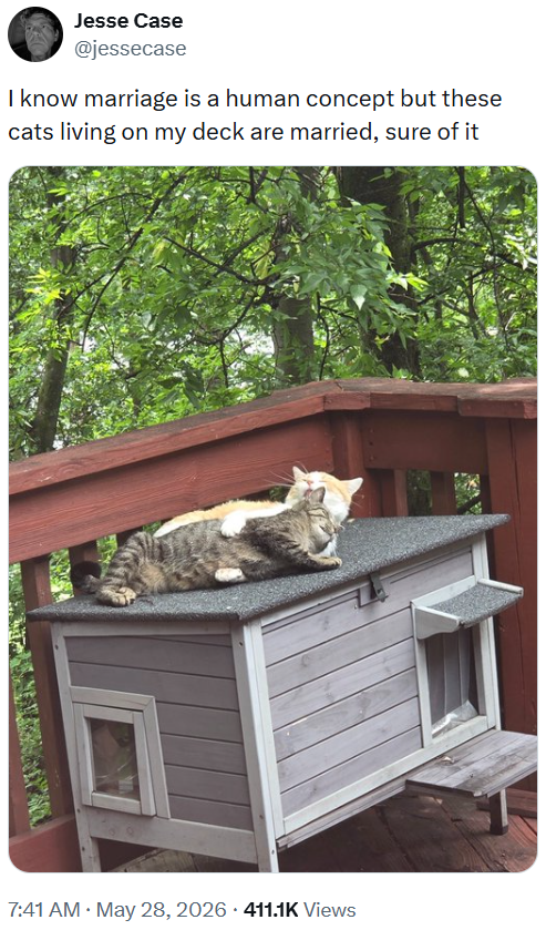 Jesse Case @jessecase I know marriage is a human concept but these cats living on my deck are married, sure of it 7:41 AM · May 28, 2026 411.1K Views