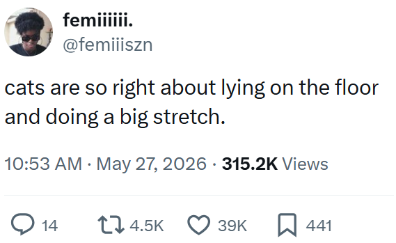 femiiiiii. @femiiiszn cats are so right about lying on the floor and doing a big stretch. 10:53 AM May 27, 2026 315.2K Views 14 14.5K 39K ☐ 441