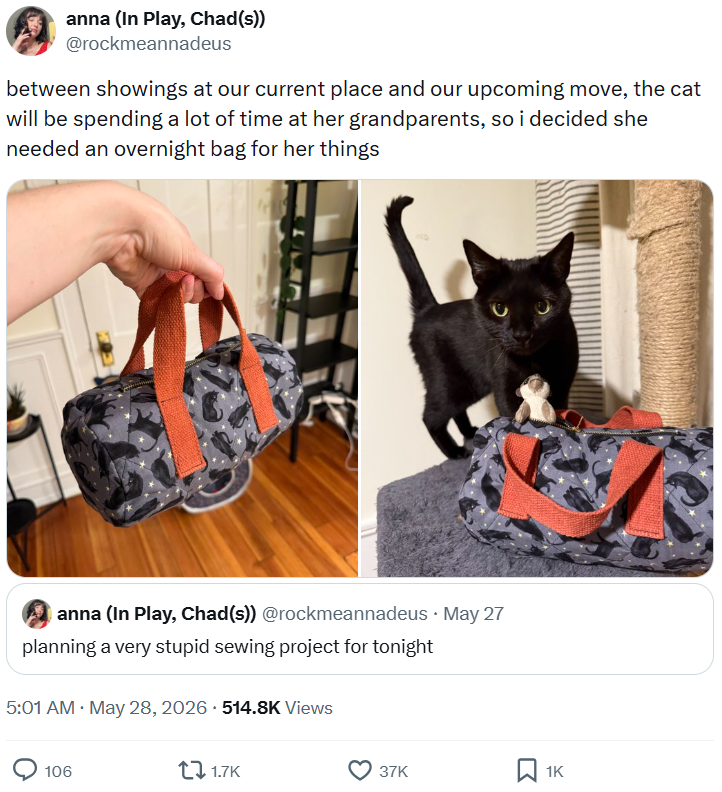 anna (In Play, Chad(s)) @rockmeannadeus between showings at our current place and our upcoming move, the cat will be spending a lot of time at her grandparents, so i decided she needed an overnight bag for her things . anna (In Play, Chad(s)) @rockmeannadeus May 27 planning a very stupid sewing project for tonight 5:01 AM. May 28, 2026 514.8K Views 106 11.7K 37K ☐ 1K