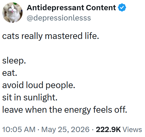 Antidepressant Content @depressionlesss cats really mastered life. sleep. eat. avoid loud people. sit in sunlight. leave when the energy feels off. 10:05 AM. May 25, 2026 222.9K Views