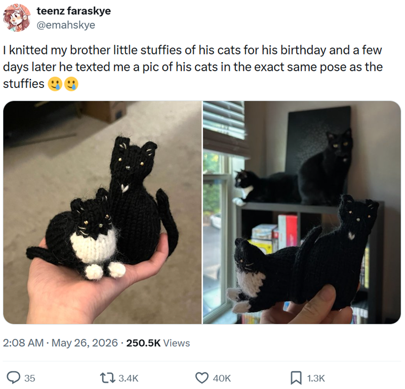 teenz faraskye @emahskye I knitted my brother little stuffies of his cats for his birthday and a few days later he texted me a pic of his cats in the exact same pose as the stuffies 2:08 AM - May 26, 2026 - 250.5K Views 35 3.4K 40K 1.3K