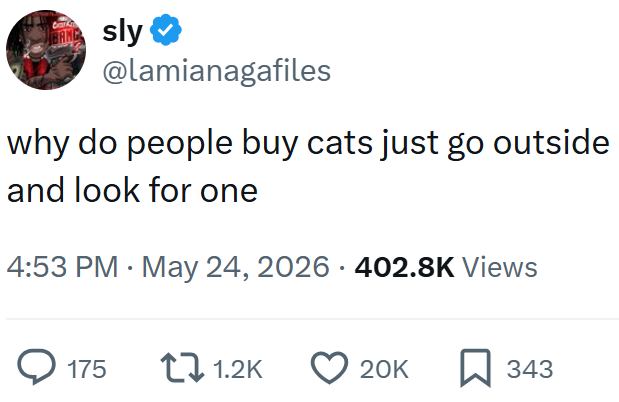sly @lamianagafiles why do people buy cats just go outside and look for one 4:53 PM - May 24, 2026 402.8K Views 175 1.2K 20K 343