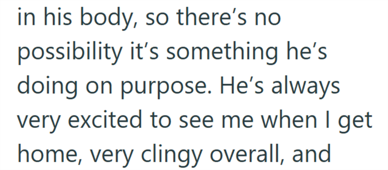 in his body, so there's no possibility it's something he's doing on purpose. He's always very excited to see me when I get home, very clingy overall, and