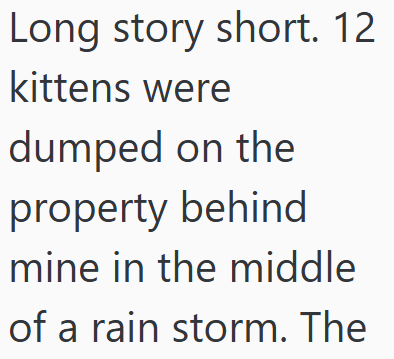 Long story short. 12 kittens were dumped on the property behind mine in the middle of a rain storm. The