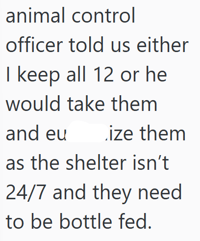 animal control officer told us either I keep all 12 or he would take them and eu ize them as the shelter isn't 24/7 and they need to be bottle fed.