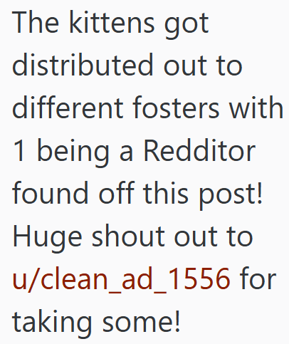The kittens got distributed out to different fosters with 1 being a Redditor found off this post! Huge shout out to u/clean_ad_1556 for taking some!