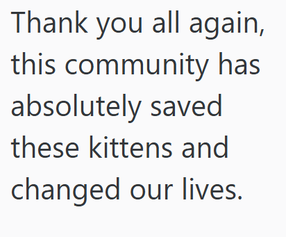 Thank you all again, this community has absolutely saved these kittens and changed our lives.