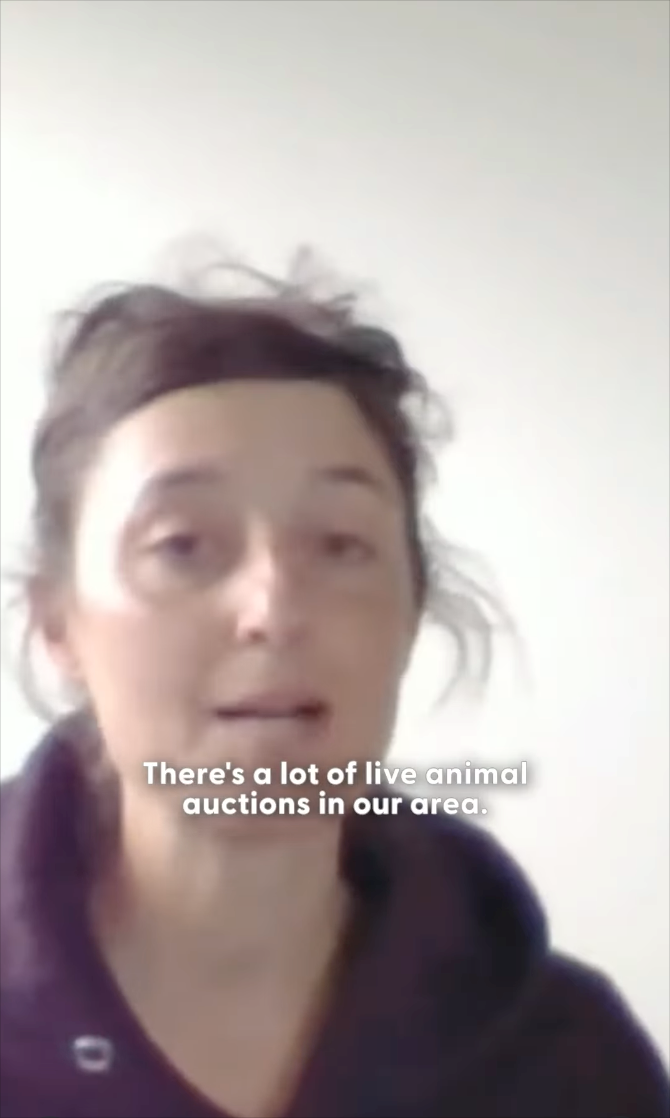 There's a lot of live animal auctions in our area.