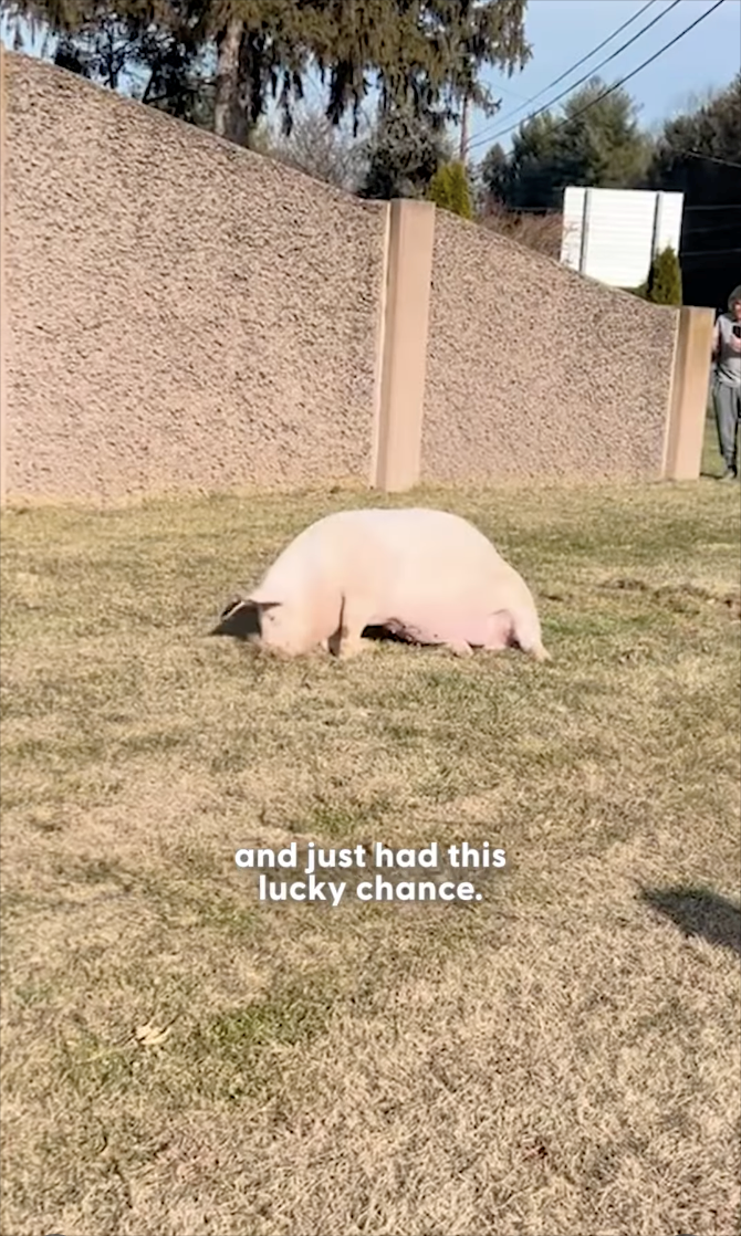 and just had this lucky chance.
