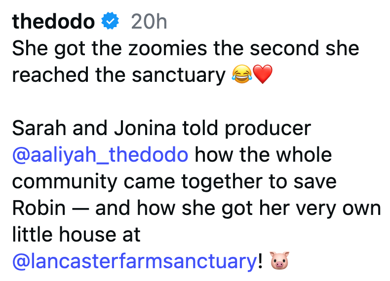 thedodo ✶ 20h She got the zoomies the second she reached the sanctuary Sarah and Jonina told producer @aaliyah_thedodo how the whole community came together to save - Robin and how she got her very own little house at @lancasterfarmsanctuary!