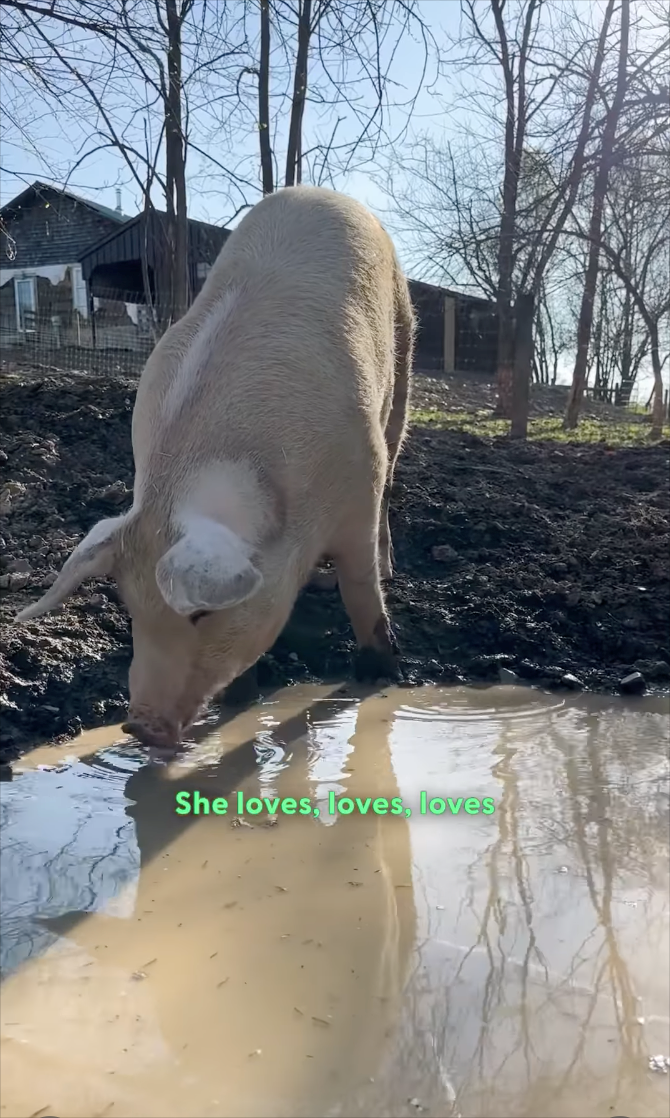 She loves, loves, loves