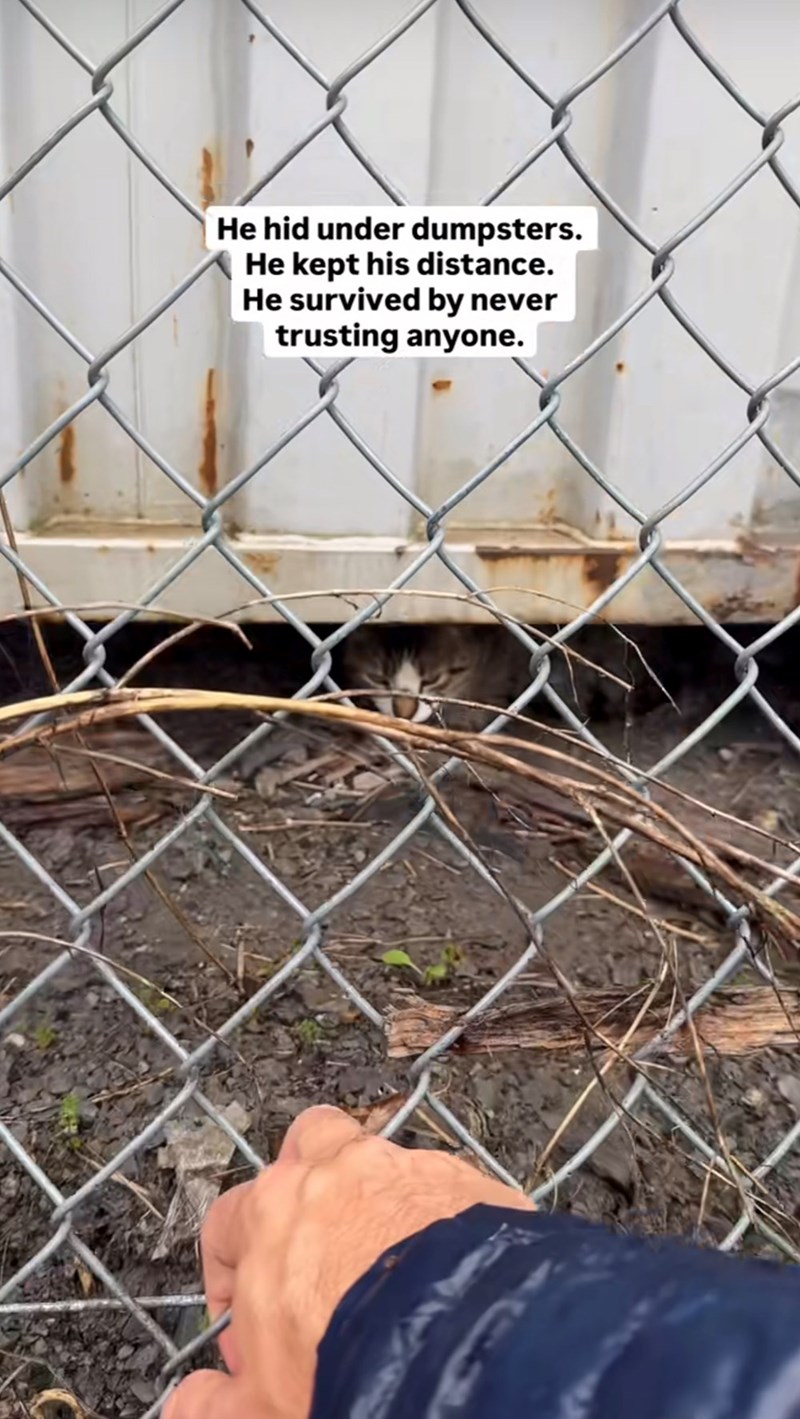 He hid under dumpsters. He kept his distance. He survived by never trusting anyone.