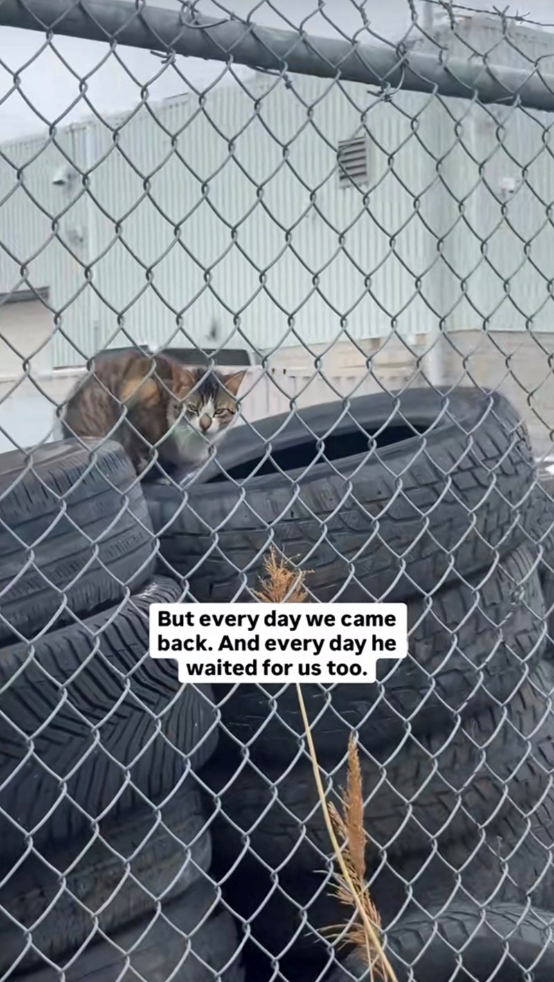 But every day we came back. And every day he waited for us too.