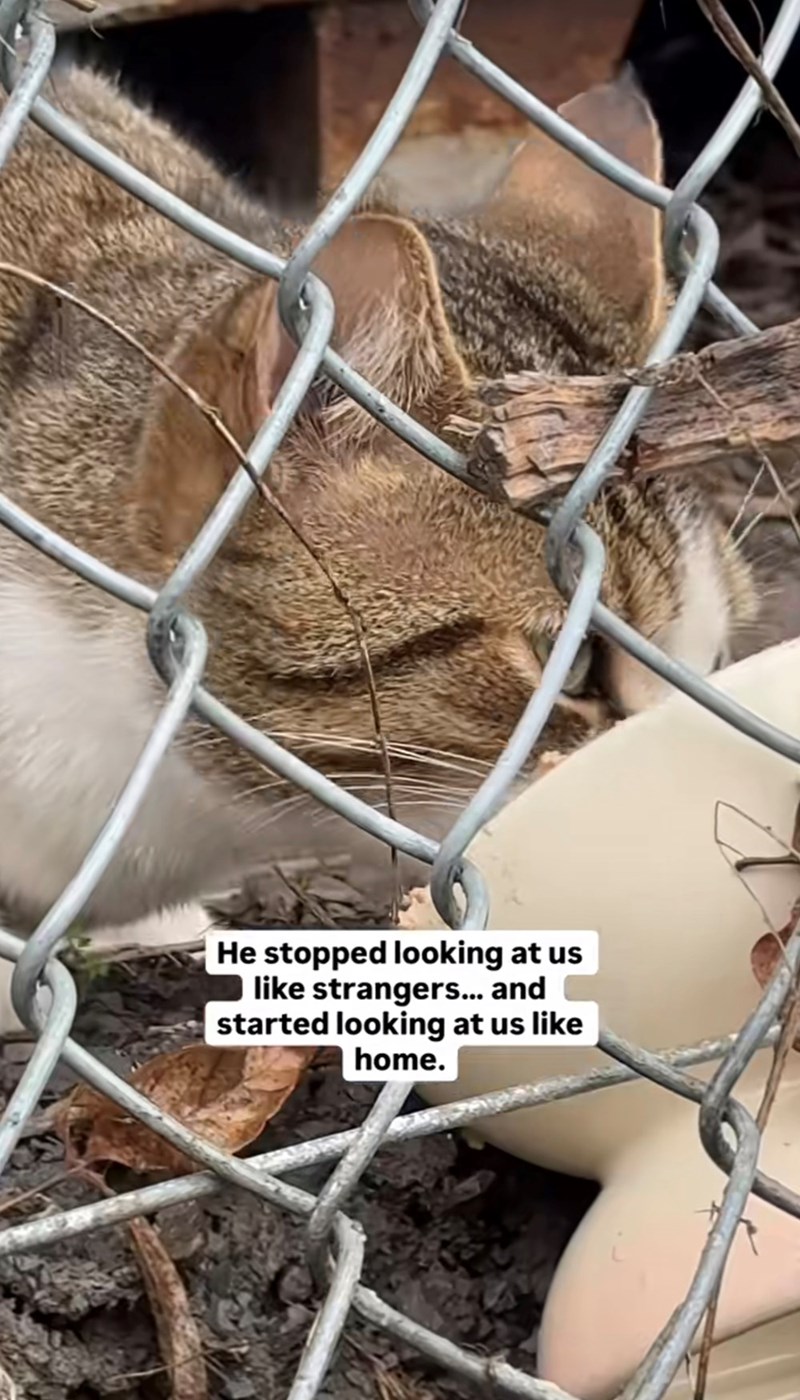 He stopped looking at us like strangers... and started looking at us like home.