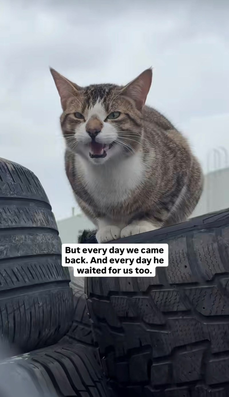 But every day we came back. And every day he waited for us too.