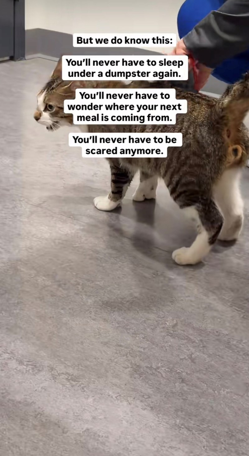 But we do know this: You'll never have to sleep under a dumpster again. You'll never have to wonder where your next meal is coming from. You'll never have to be scared anymore.