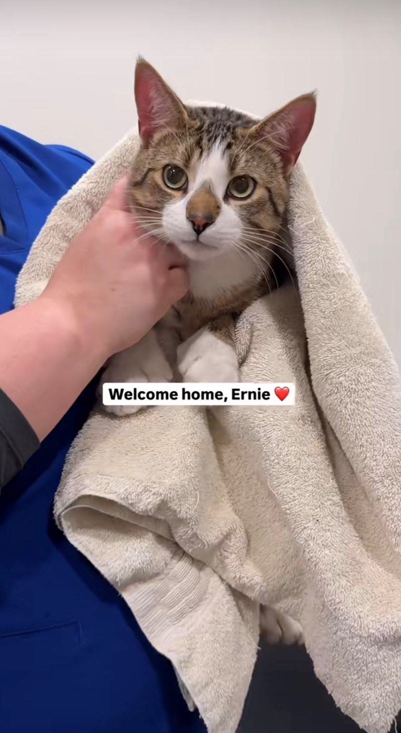 Welcome home, Ernie