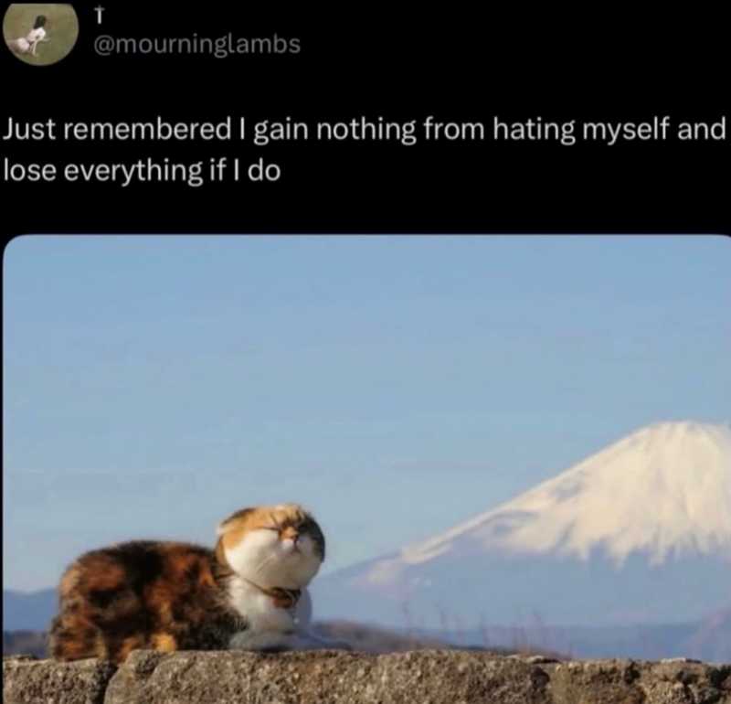 T @mourninglambs Just remembered I gain nothing from hating myself and lose everything if I do