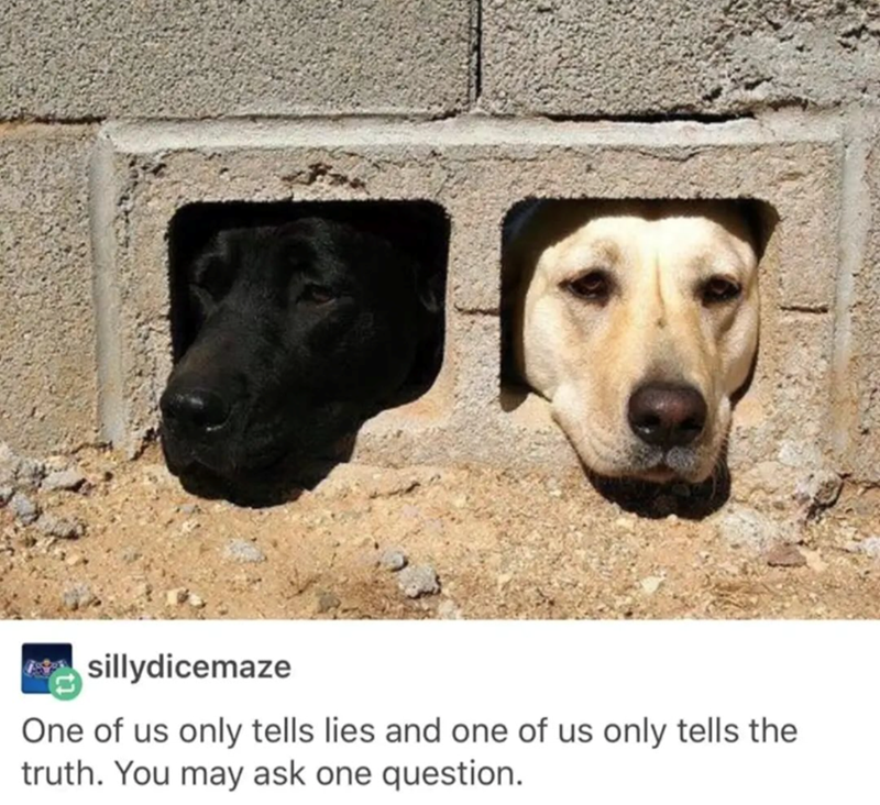 sillydicemaze One of us only tells lies and one of us only tells the truth. You may ask one question.