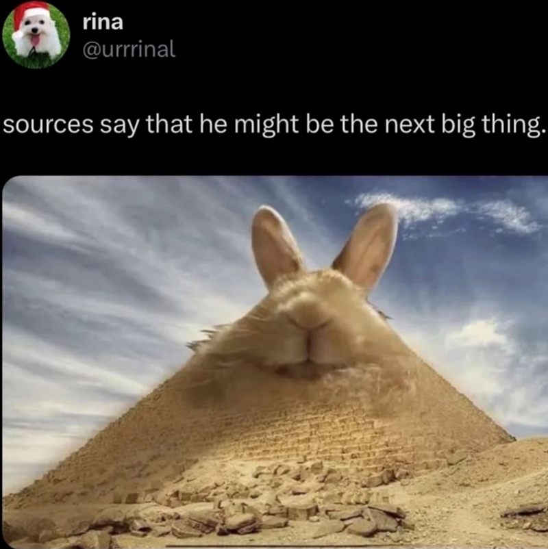 rina @urrrinal sources say that he might be the next big thing.