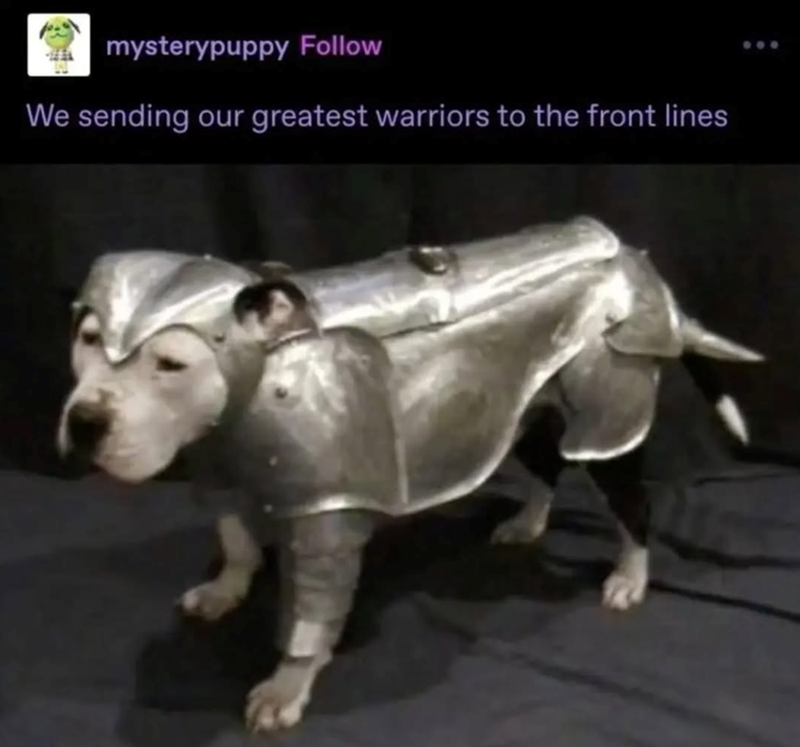 mysterypuppy Follow We sending our greatest warriors to the front lines