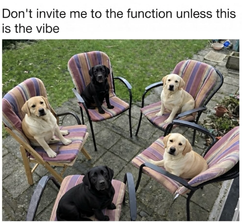 Don't invite me to the function unless this is the vibe