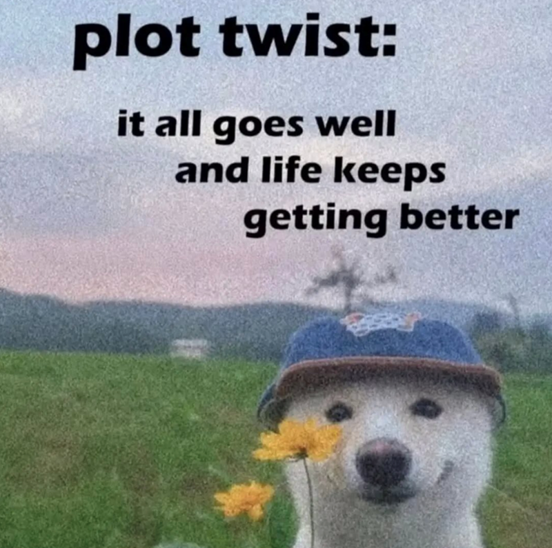 plot twist: it all goes well and life keeps getting better