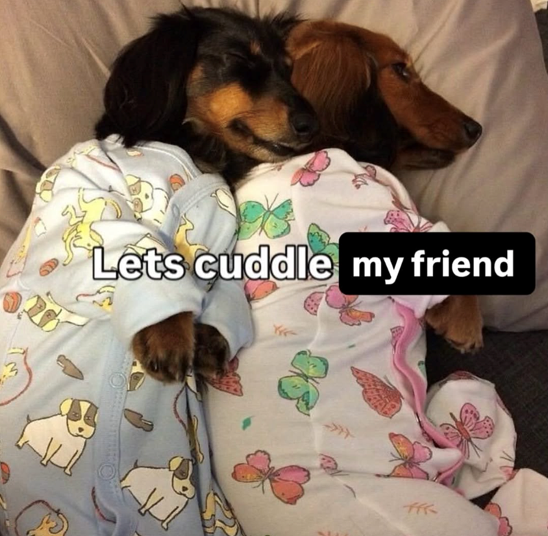 Lets cuddle my friend
