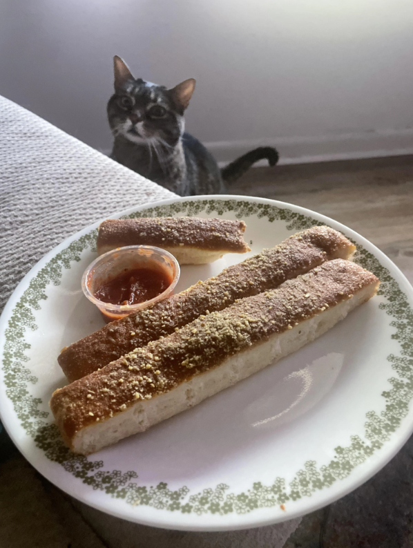 Cheezburger Image 10635044608