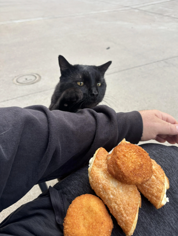 Cheezburger Image 10635047424