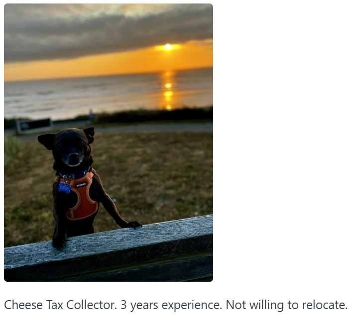 Cheese Tax Collector. 3 years experience. Not willing to relocate.