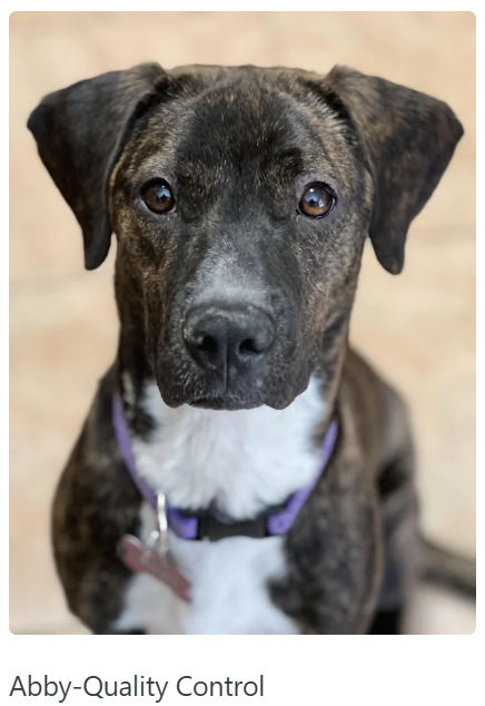 Abby-Quality Control