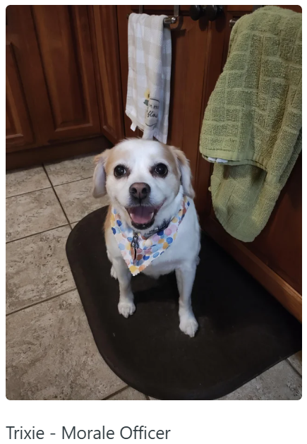 'flow Trixie Morale Officer -