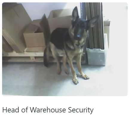 Head of Warehouse Security